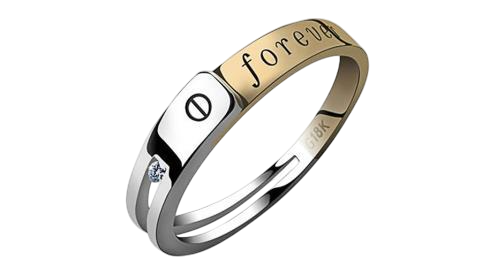 TEKTON TS-50 с конвейером TEKTON TS-50 с конвейером