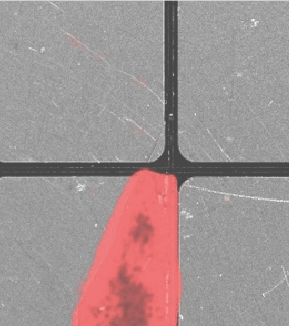 62ff001eba390.png