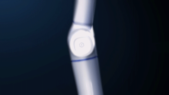 item41.gif